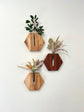 Hexagon Wall Vase - Hickory & Mahagony