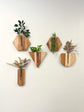 Triangle Wall Vase - Hickory & Mahagony