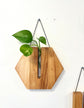 Triangle Wall Vase - Hickory & Mahagony
